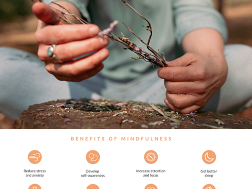 Mindfulness logo and website